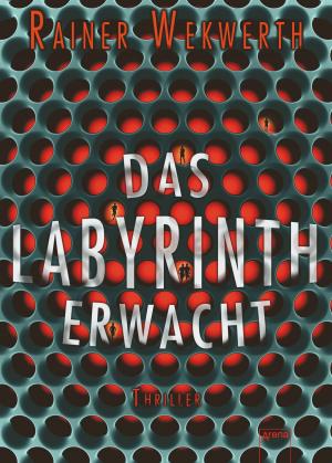 Book cover of Das Labyrinth erwacht