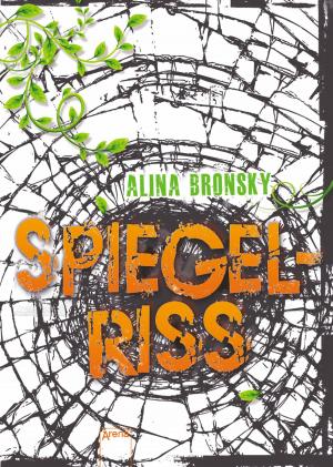 Book cover of Spiegelriss