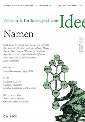 Cover of Zeitschrift für Ideengeschichte Heft VII/1 Frühjahr 2013