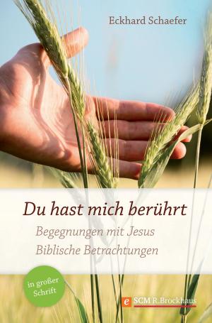 Cover of the book Du hast mich berührt by Beate M. Weingardt