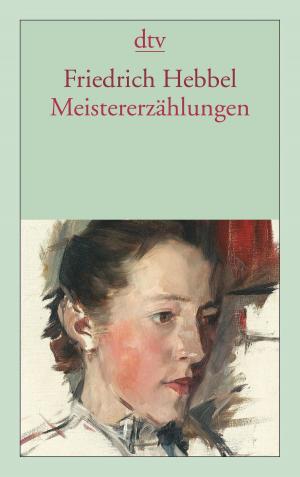 Cover of the book Meistererzählungen by Asta Scheib