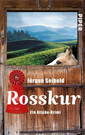 Cover of the book Rosskur by Wolfgang Hohlbein