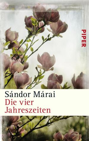 Cover of the book Die vier Jahreszeiten by Layla Hagen