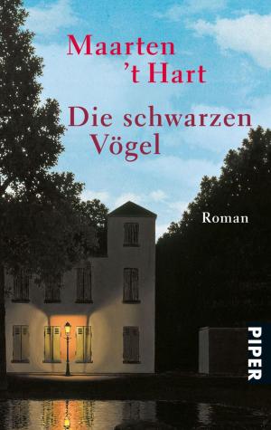 Cover of the book Die schwarzen Vögel by Koons Crooks