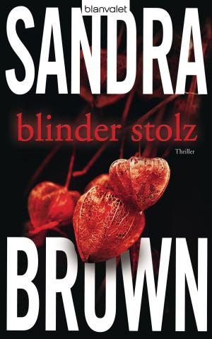 Cover of the book Blinder Stolz by Linda Lambert