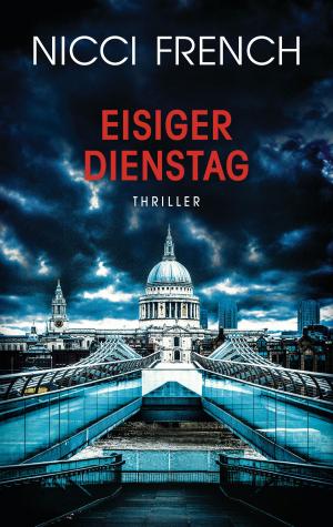 Book cover of Eisiger Dienstag