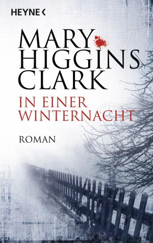 Cover of the book In einer Winternacht by Robert Betz