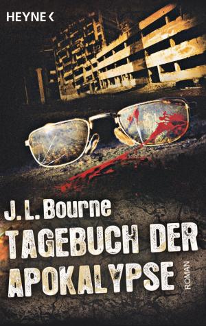 Cover of the book Tagebuch der Apokalypse by Kai Strand