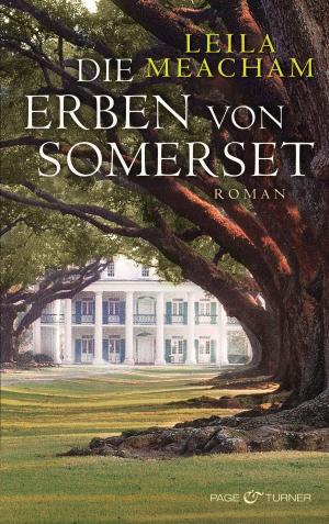 Cover of the book Die Erben von Somerset by Max Bentow