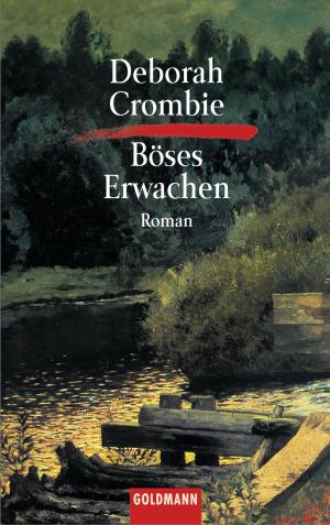 Book cover of Böses Erwachen
