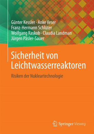 Cover of the book Sicherheit von Leichtwasserreaktoren by Katharina Spanel-Borowski