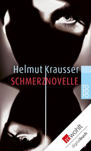 Cover of the book Schmerznovelle by Vince Ebert