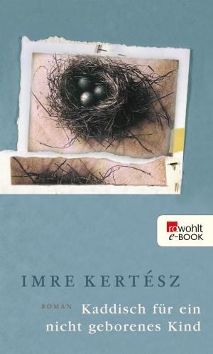 Cover of the book Kaddisch für ein nicht geborenes Kind by Stephan Serin