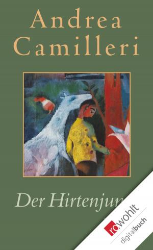Cover of the book Der Hirtenjunge by Manfred Geier