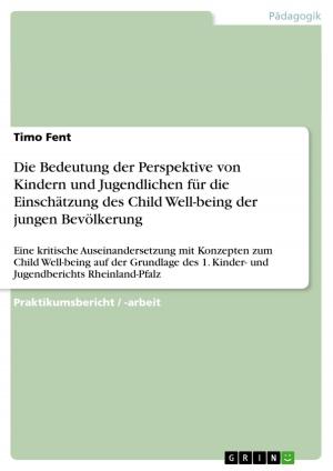 Cover of the book Die Bedeutung der Perspektive von Kindern und Jugendlichen für die Einschätzung des Child Well-being der jungen Bevölkerung by Daniel Fischer
