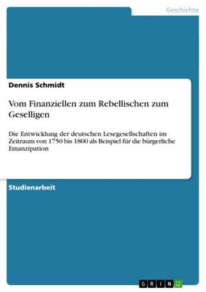 Cover of the book Vom Finanziellen zum Rebellischen zum Geselligen by Andreas Ludwig