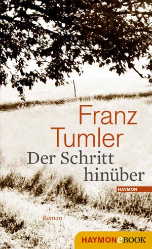 Cover of the book Der Schritt hinüber by Bernhard Barta