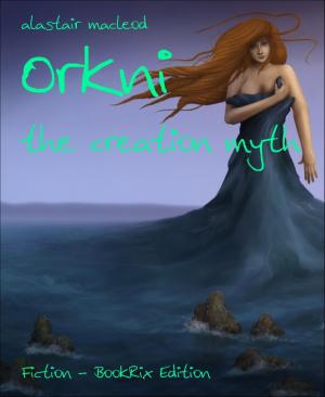 Cover of the book Orkni by Ruan Coetzee