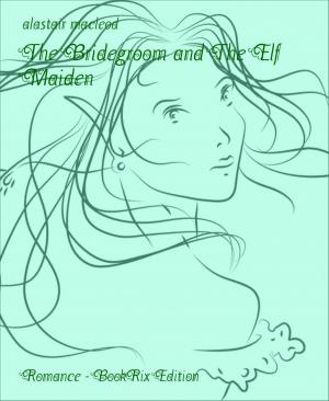 Cover of the book The Bridegroom and The Elf Maiden by Branko Perc