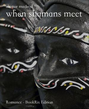 Cover of the book when shamans meet by Franz von Falkenstein