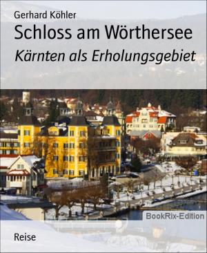 Cover of the book Schloss am Wörthersee by Sandra Eckervogt