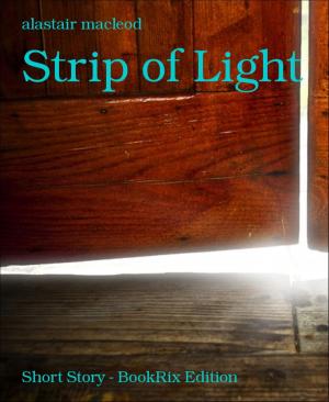 Cover of the book Strip of Light by Sandy Palmer