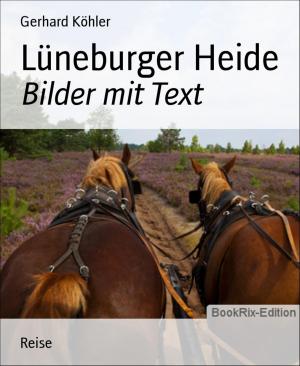 Cover of the book Lüneburger Heide by SIWA RUBIN