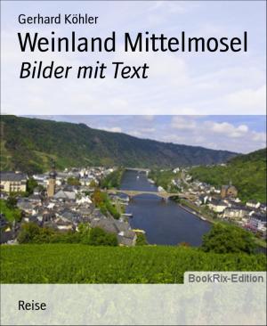 Cover of the book Weinland Mittelmosel by Jan Gardemann