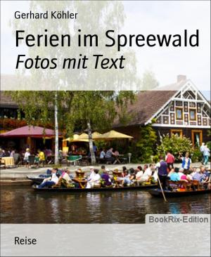 Cover of the book Ferien im Spreewald by Jürgen Köditz