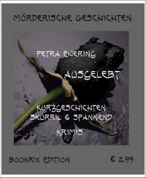 Cover of the book Mörderische Geschichten by Klaus Tiberius Schmidt