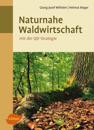 Book cover of Naturnahe Waldwirtschaft - mit der QD-Strategie