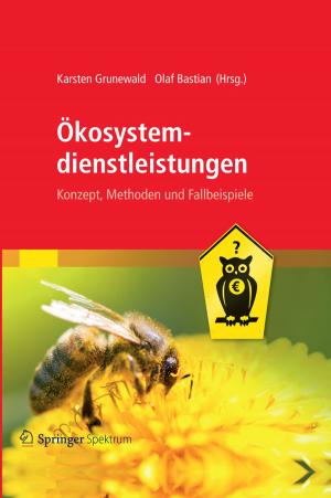 Cover of the book Ökosystemdienstleistungen by Zongmin Ma, Fu Zhang, Li Yan, Jingwei Cheng
