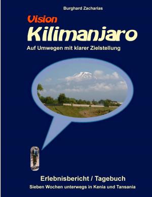 Book cover of Vision Kilimanjaro