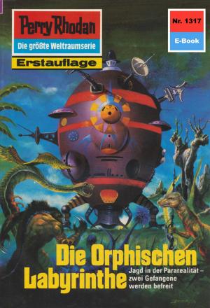 Cover of the book Perry Rhodan 1317: Die Orphischen Labyrinthe by Rainer Castor