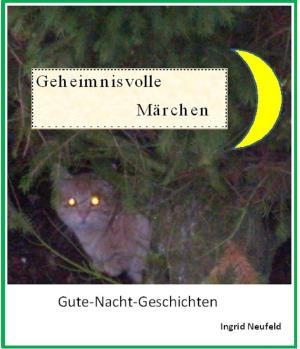 Book cover of Geheimnisvolle Märchen
