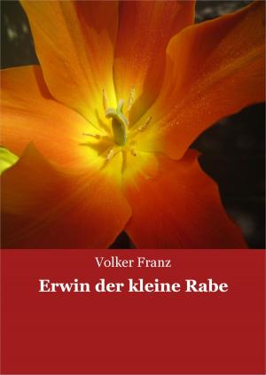 Cover of the book Erwin der kleine Rabe by Manuela Martini