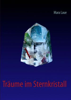Book cover of Träume im Sternkristall