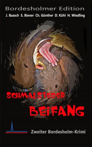Cover of the book Schmalsteder Beifang by Gottfried Keller