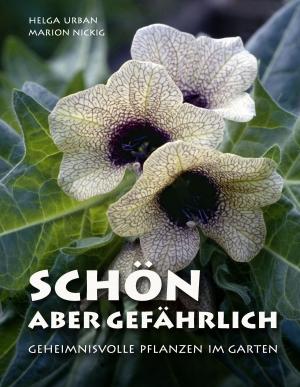 Cover of the book Schön, aber gefährlich by Mary Shelley