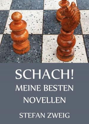 Cover of the book Schach! - Meine besten Novellen by D.F. Waitt