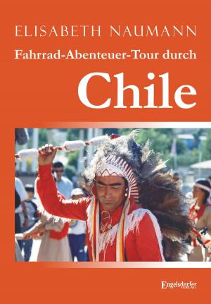 Book cover of Fahrrad-Abenteuer-Tour durch Chile