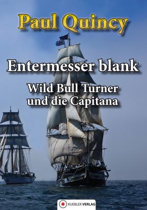 Cover of the book Entermesser blank by Paul Quincy
