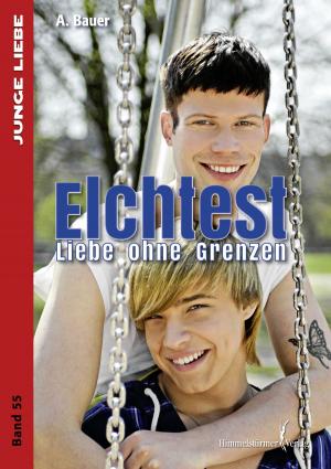 Cover of the book Elchtest by Sam Nolan