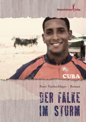 Cover of the book Der Falke im Sturm by Peter Nathschläger