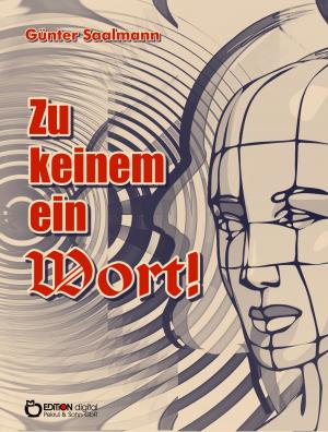 Cover of the book Zu keinem ein Wort! by Wolfgang Schreyer