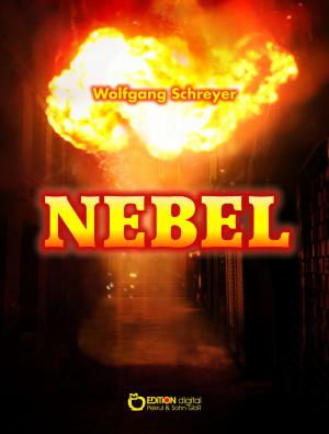 Cover of the book Nebel by Dietmar Beetz