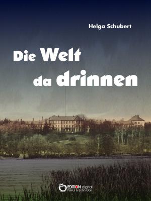 Cover of the book Die Welt da drinnen by Dietmar Beetz