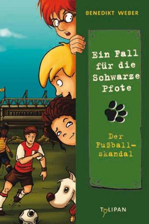 Cover of the book Ein Fall für die Schwarze Pfote: Der Fußballskandal by Ulrich Fasshauer, Regina Kehn