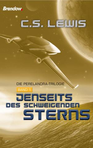 Book cover of Jenseits des schweigenden Sterns