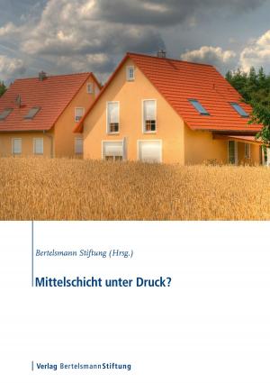 Cover of the book Mittelschicht unter Druck? by Rüdiger Hansen, Raingard Knauer
